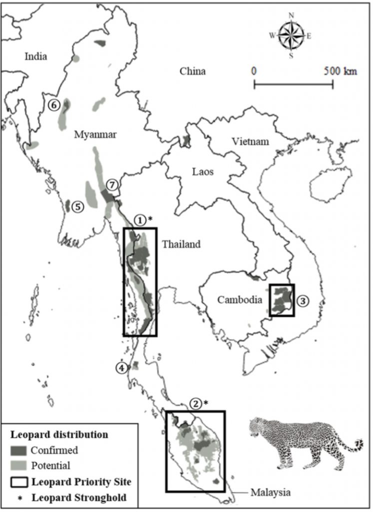 The current (confirmed and potential) estimated distribution of the Indochinese leopard (Panthera pardus delacouri) in Southeast Asia. The areas surrounded by rectangles indicate leopard priority sites: (1) Northern Tenasserim Forest Complex; (2) Peninsular Malaysia, and; (3) Eastern Plains Landscape; whereas the asterisks indicate the two leopard strongholds. Other sites with potentially viable populations are: (4) Khlong Saeng-Khao Sok Complex; (5) Rakhine Yoma Elephant Range WS; (6) Alaungdaw Kathapa-Mahamyaing complex, and; (7) northern Karen (Kayin) State. S. Rostro-García et al. / Biological Conservation 201 (2016) 293–300