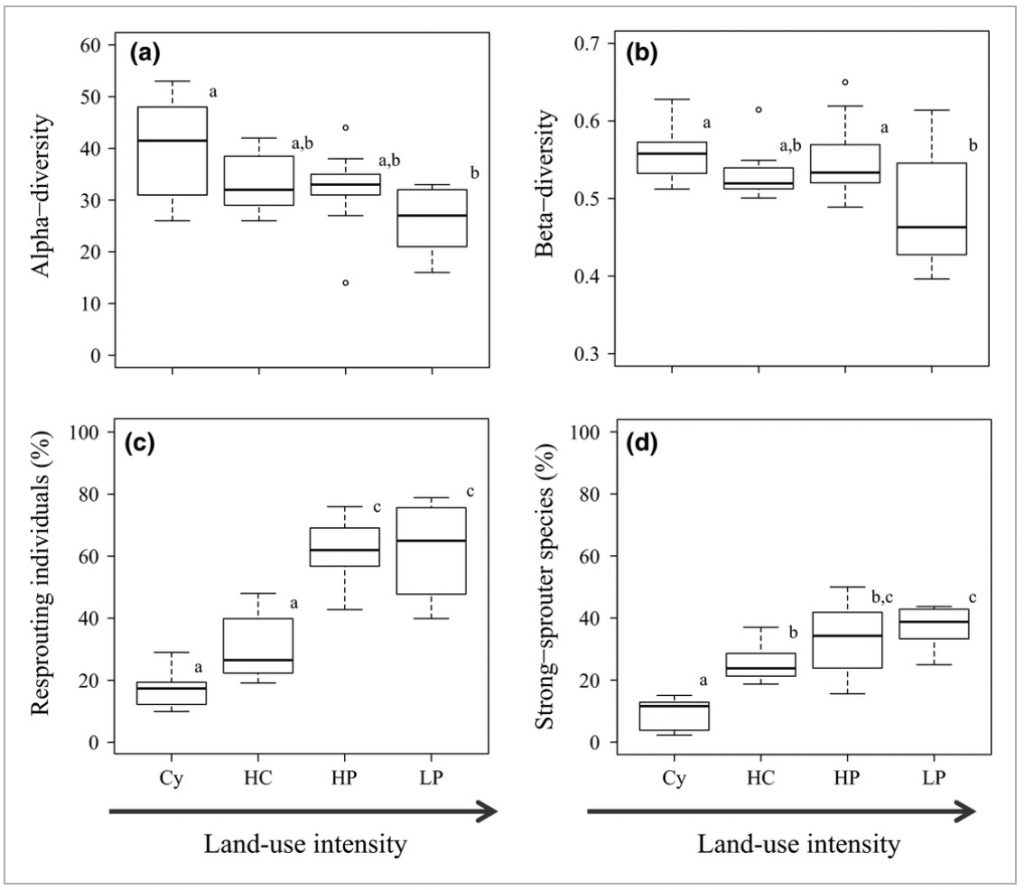 Figure 3. Changes in community diversity and regeneration strategies with previous land-use intensity. Comparisons across MRT groups on (a) α-diversity calculated as number of species within 500 m2, (b) β-diversity, (c) percentage resprouting genets and (d) percentage strong sprouter species, for each group formed by the multivariate regression tree. Cy (one cycle), HC (high clay content), HP (high P content), LP (low P content). Boxes represent lower and upper quartile, horizontal line represents the median, and whiskers extend to the lowest and highest datum within 1.5 interquantile range. Significant differences among groups are indicated with different letters.