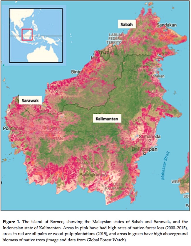 Sustainable Development And Conservation In Borneo Lessons From   Bill Fig 1 