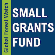 Call for proposals: Global Forest Watch Small Grants 2016