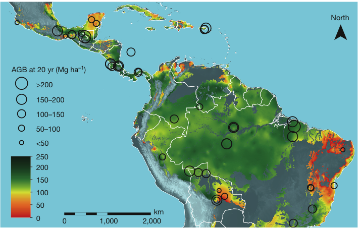 Biomass resilience of Neotropical secondary forests