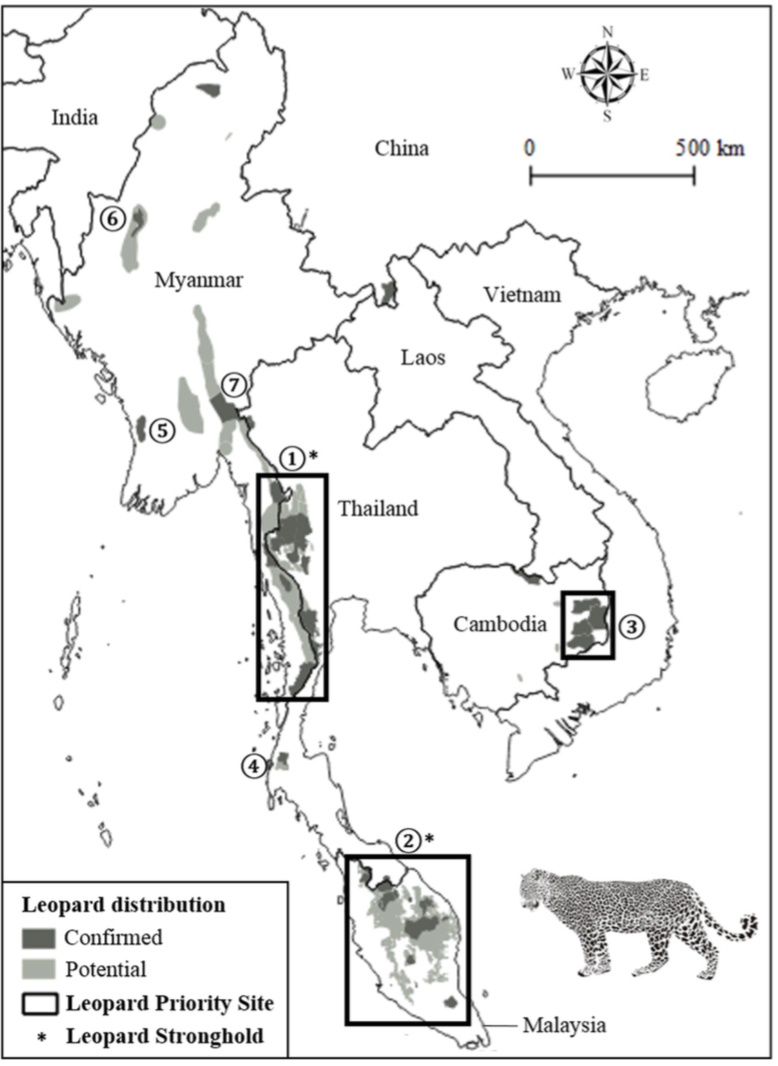 Research Highlights: Conservation status of leopards in Southeast Asia ...