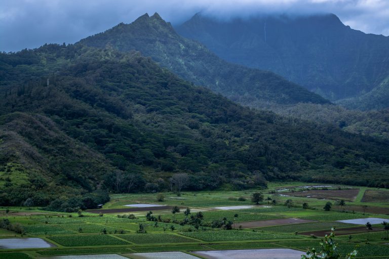 Farming and forests in the Asian tropics. - Tropical Biology ...