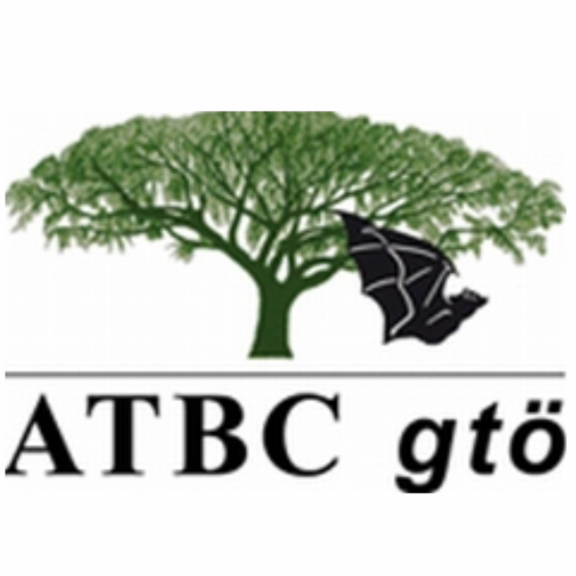 2009 | Marburg, Germany