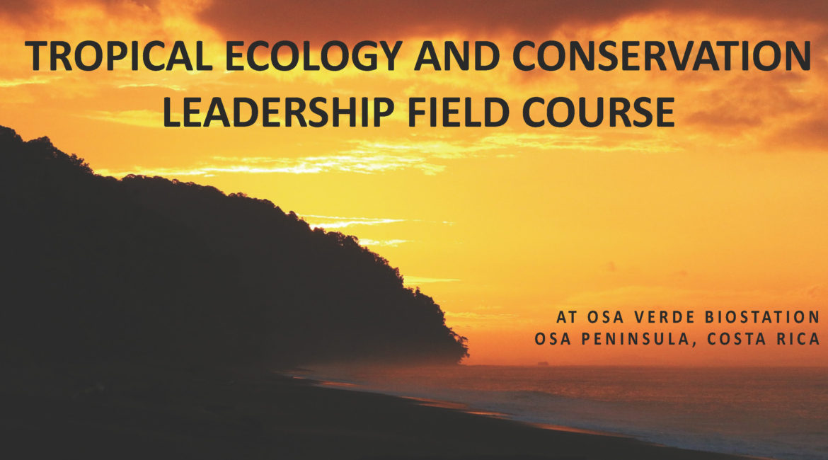 Tropical Ecology & Conservation Leadership Course in Osa, Costa Rica