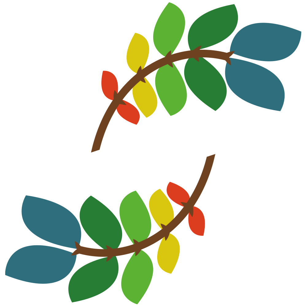 2013 | Banda Aceh, Indonesia