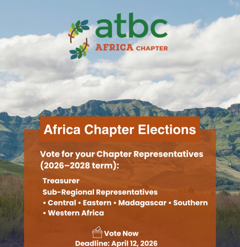 Elections Africa chapter